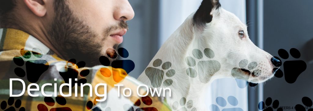 Animal-Therapy-Positive-Peers